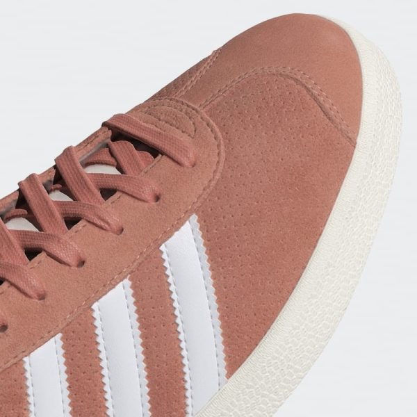 Gazelle – Image 5